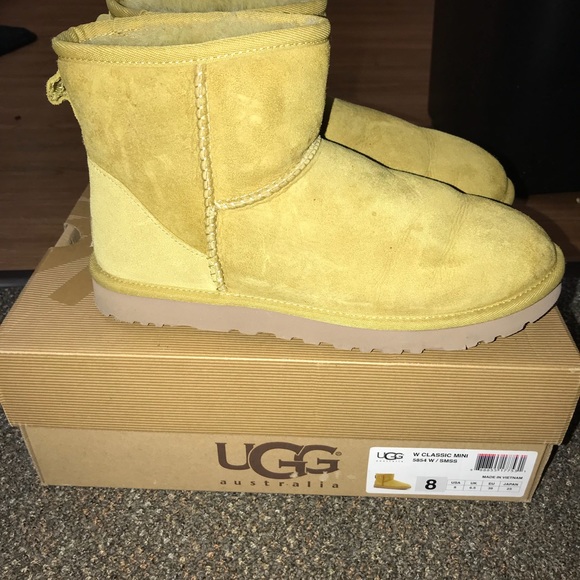 mustard uggs